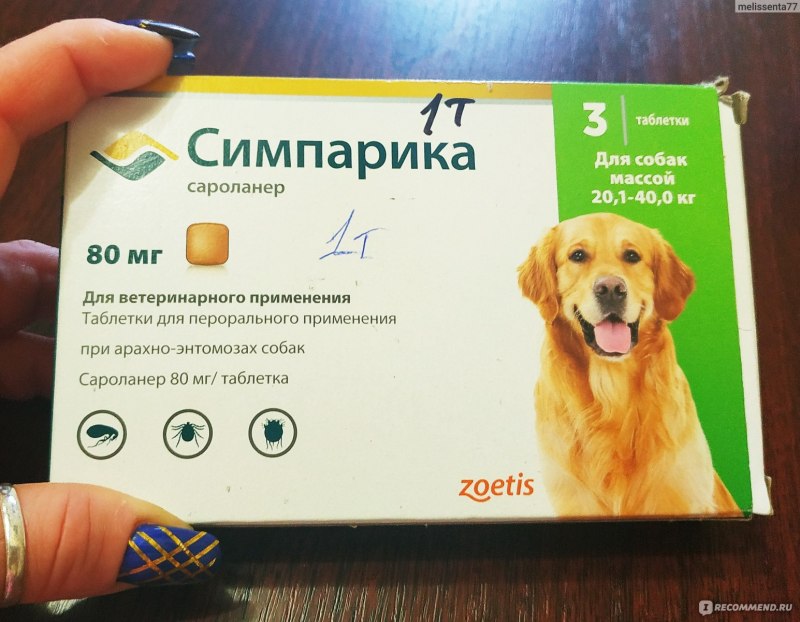 Симпарика таблетка для собак от глистов