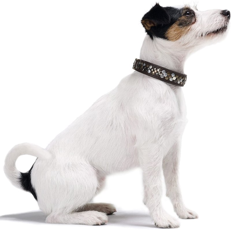 Строгий ошейник v.i.Pet OC-CP 3255 55 см