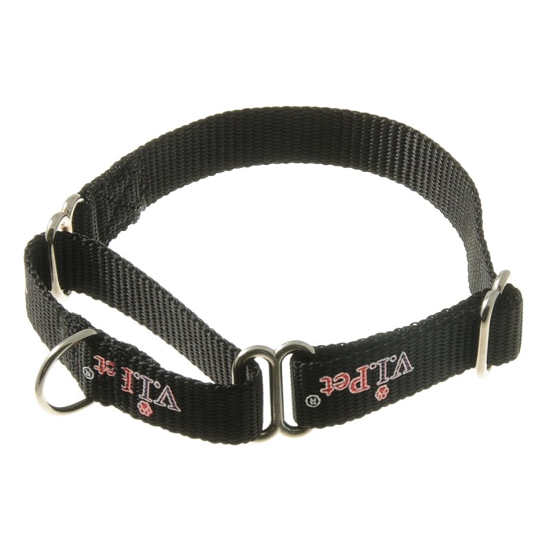 Hunter Collar Arizona