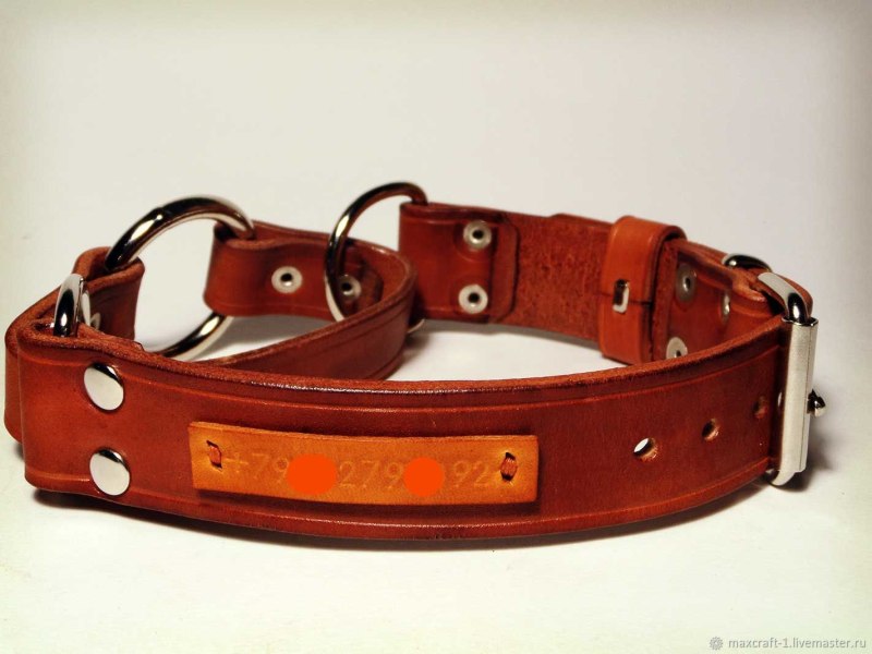 GPS ошейник "Dog x30t"