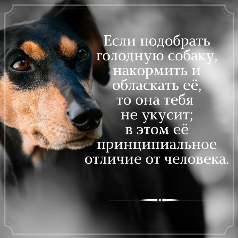 Красивые цитаты