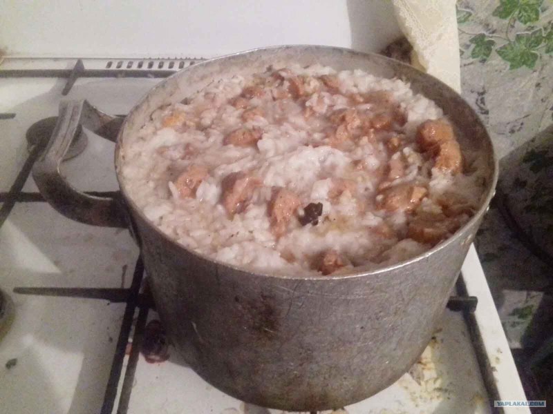 Шампунь для собак natural Dog