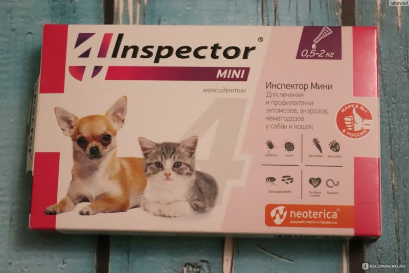 Inspector Mini для котят