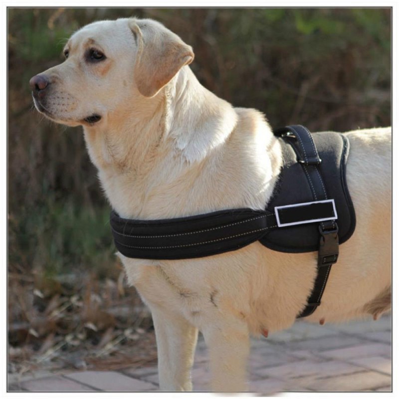 Шлейка Collar k9