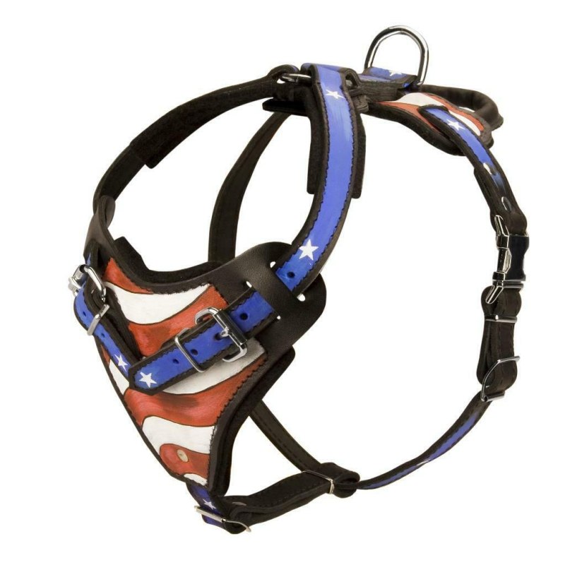 Fordogtrainers "Tractive Force" h12 ездовая нейлоновая шлейка для собак