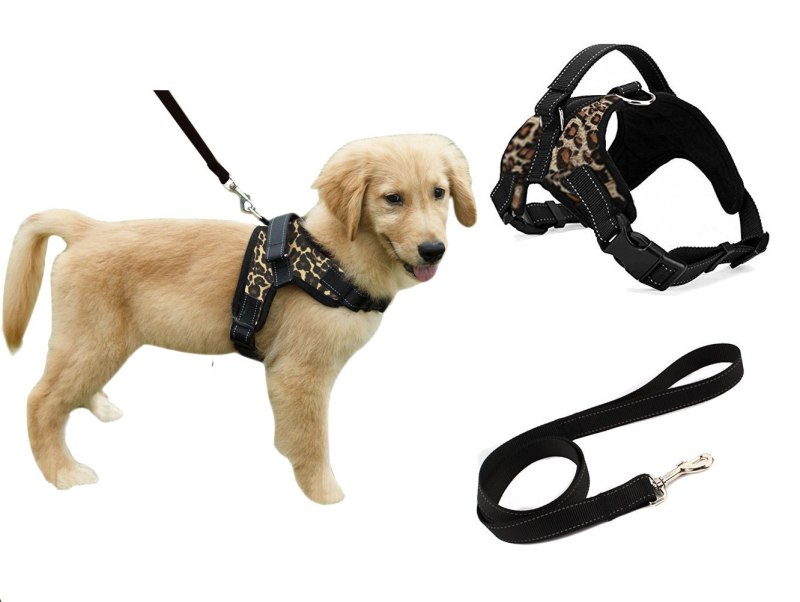 Шлейка Puppy Gallery Атлет для собак серая регулируемая l /pg1204в/