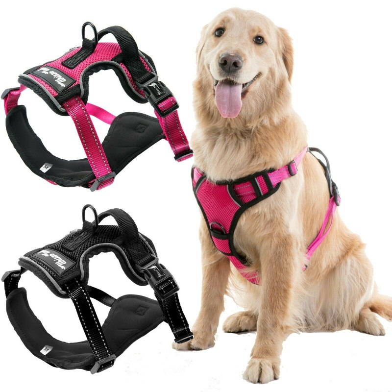 Шлейка Active harness ЮНИЗОО