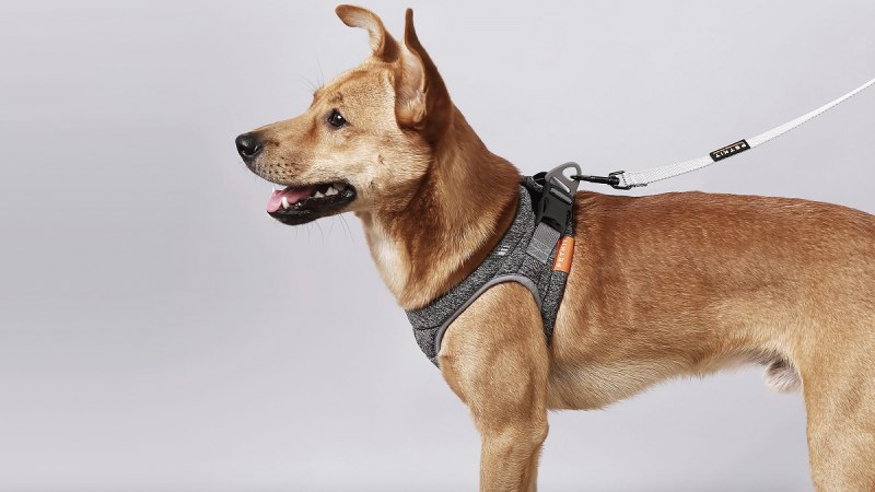 Шлейка Ergocomfort p XS серая