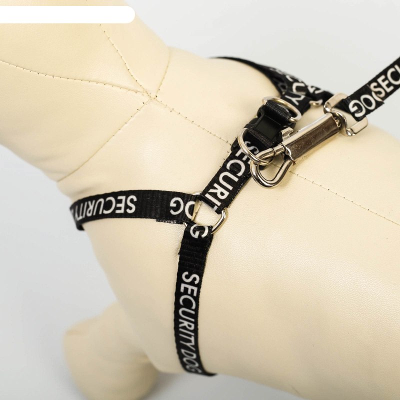 Шлейка Icepeak Pet Prozone super harness, оранжевая.
