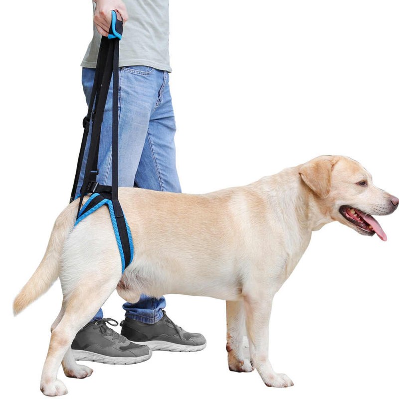 Шлейка ортопедическая Mr Dog m