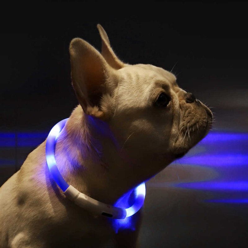 Умный ошейник для собак small Beast Star Pet Collar xl81-5001 Blue