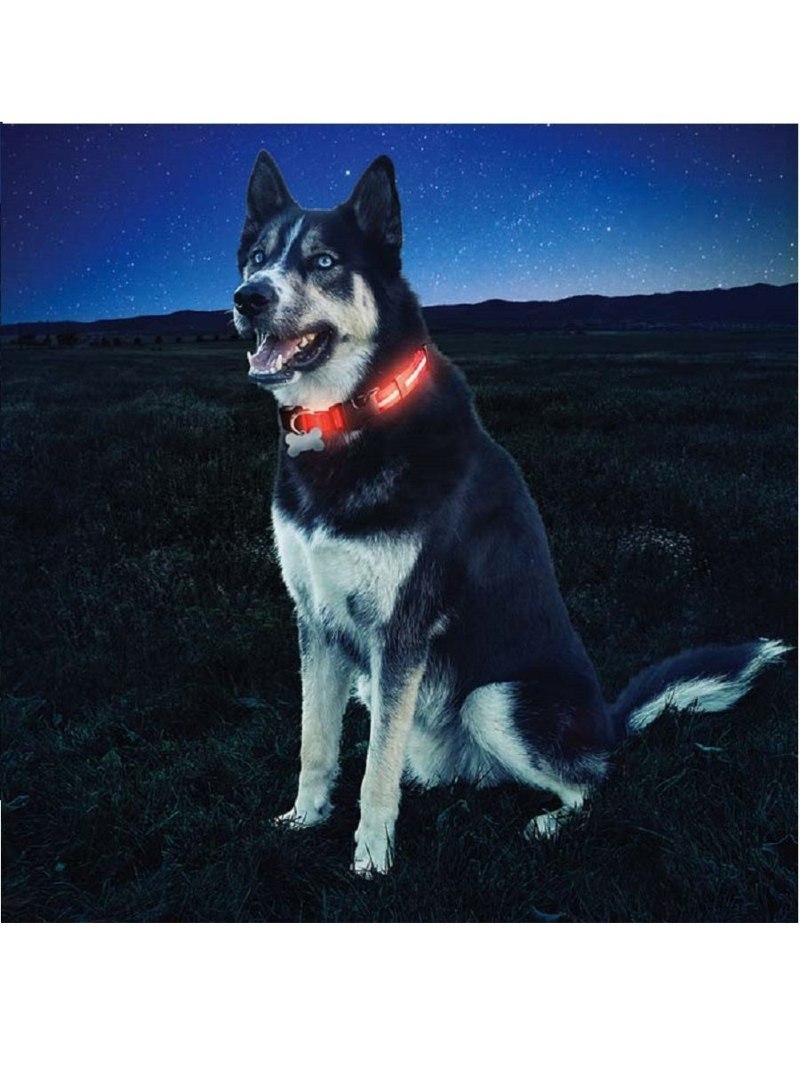 Ошейник Nite Dawg Collar