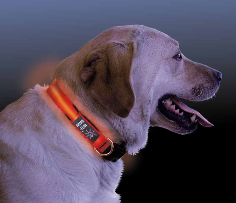 Светодиодный ошейник Nite Dawg