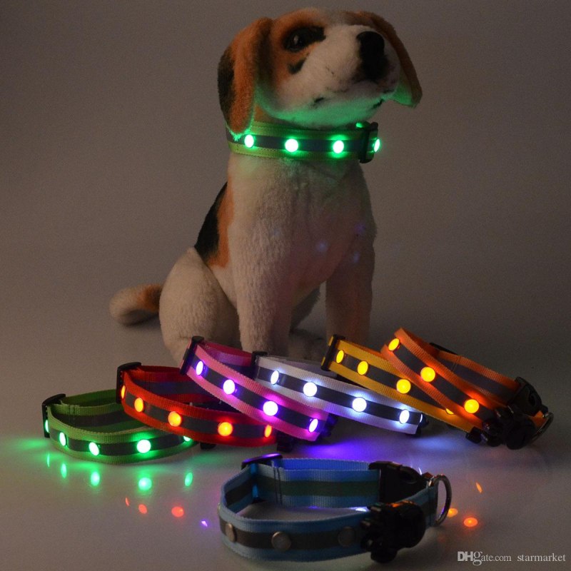 Easy Dog светящийся ошейник