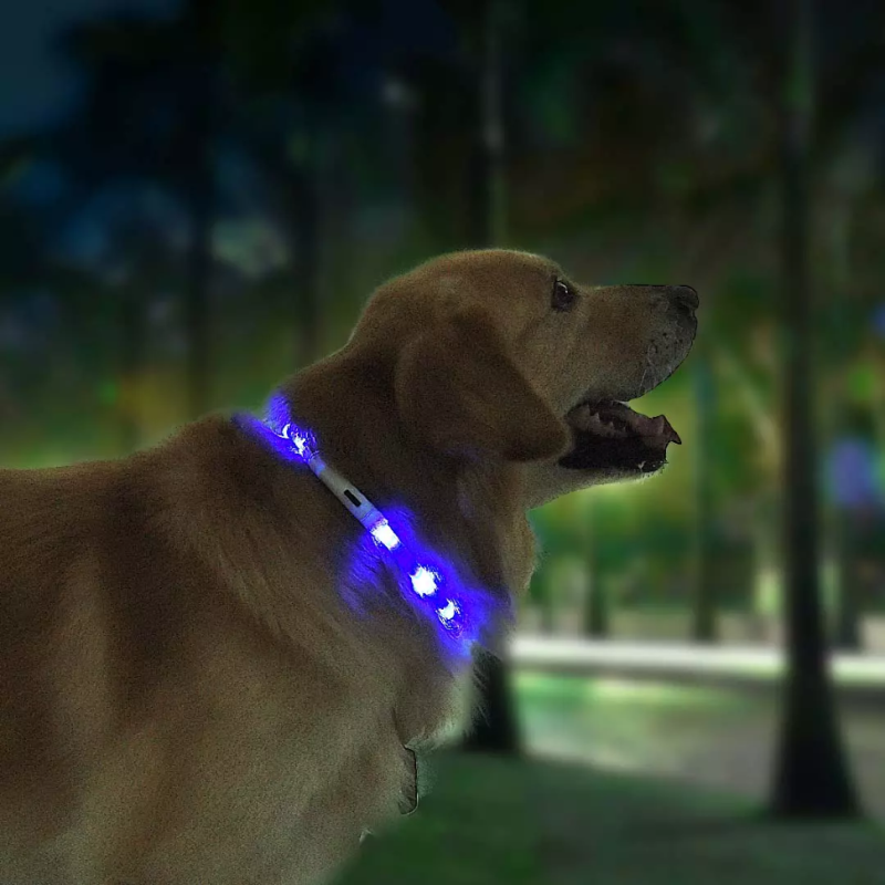 Умный ошейник для собак small Beast Star Pet Collar xl81-5001 Blue