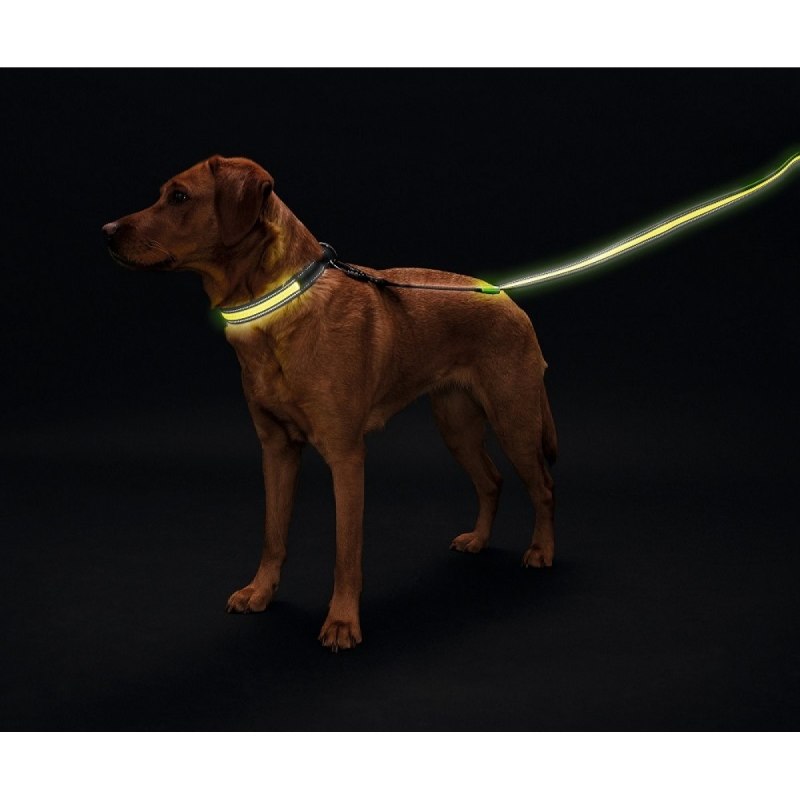  ошейник Hunter "led Manoa Glow"