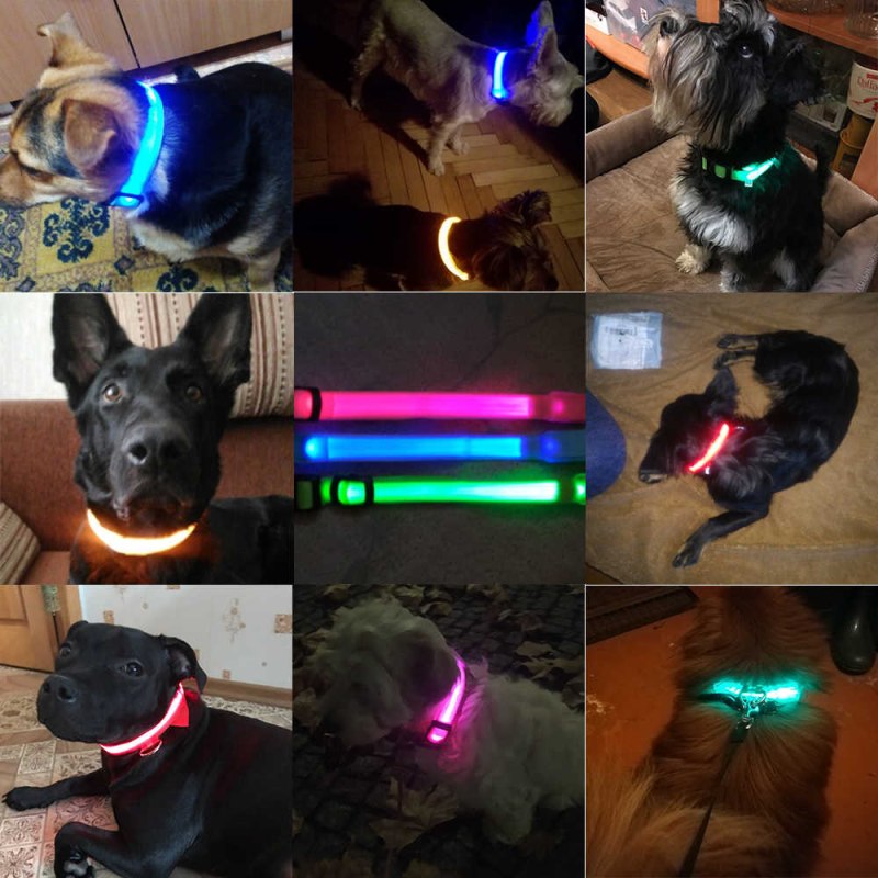 Ошейник led светодиодный. Зарядка через USB.