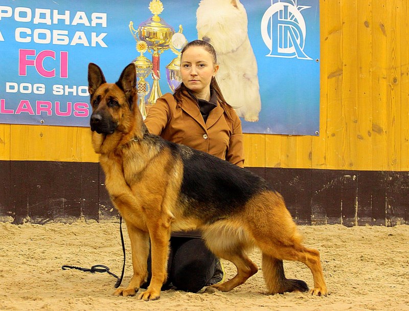 Фон Валмархоф