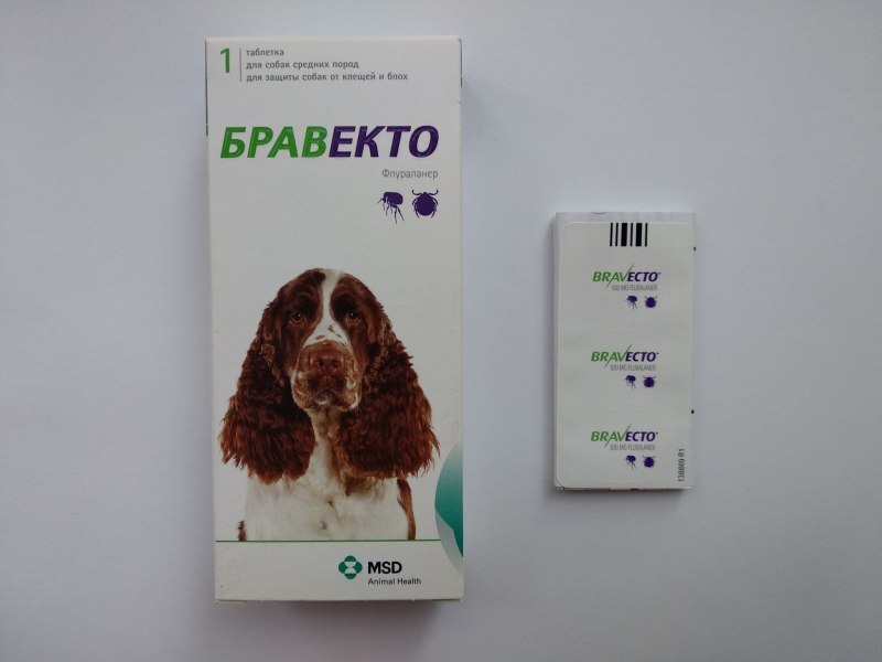 Бравекто 500 от клещей для собак