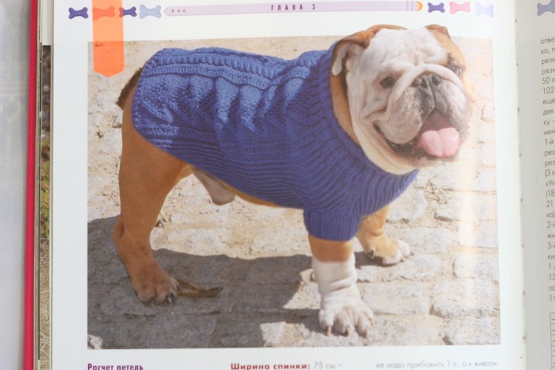 Puppia одежда для французского бульдога