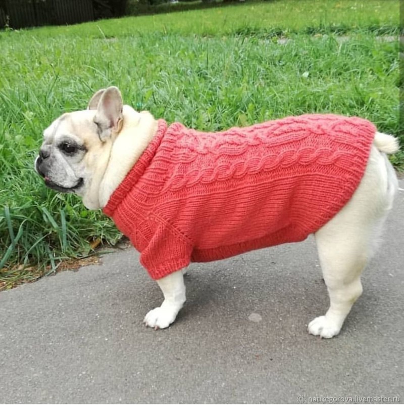 How to Sew clothes for your Dog yourself