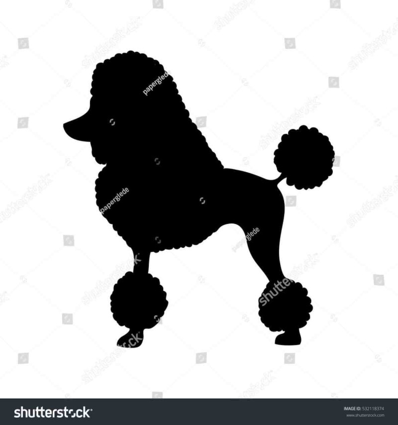 Пудель и дети