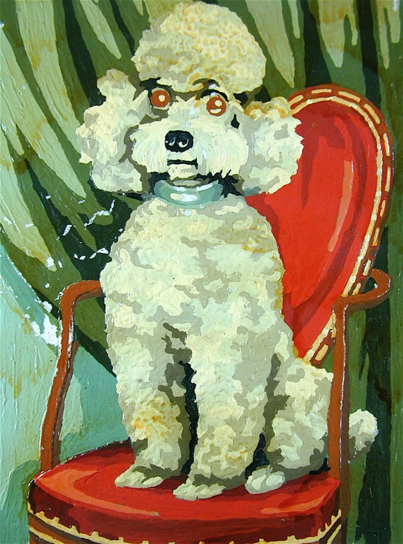 Poodle avatars