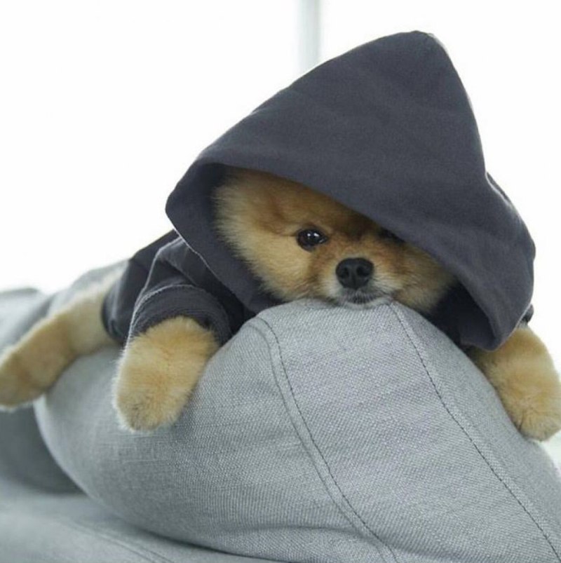 Itty Bitty Boo