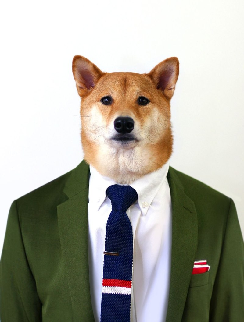 Костюм собаки