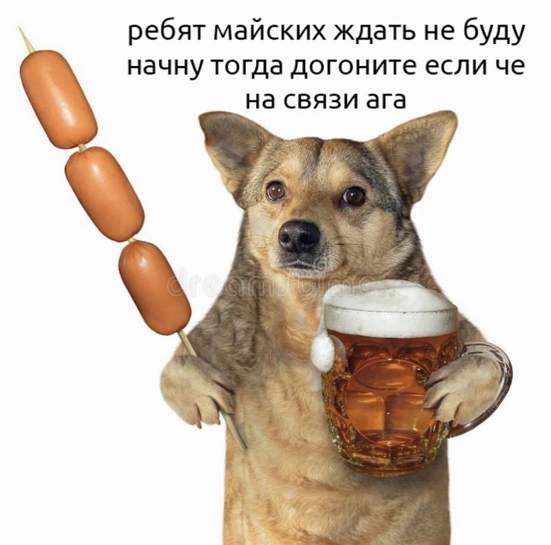 Собачка с пивом