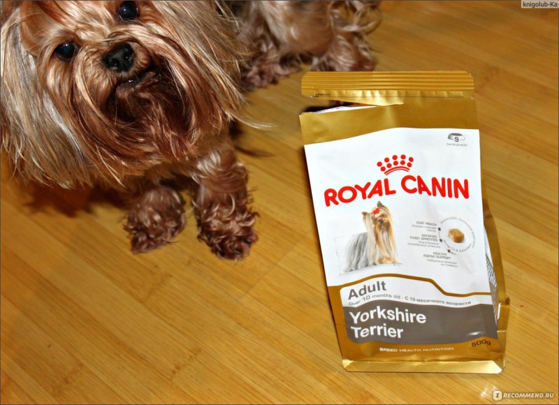 Pedigree для взрослых собак миниатюрных пород с говядиной 600г