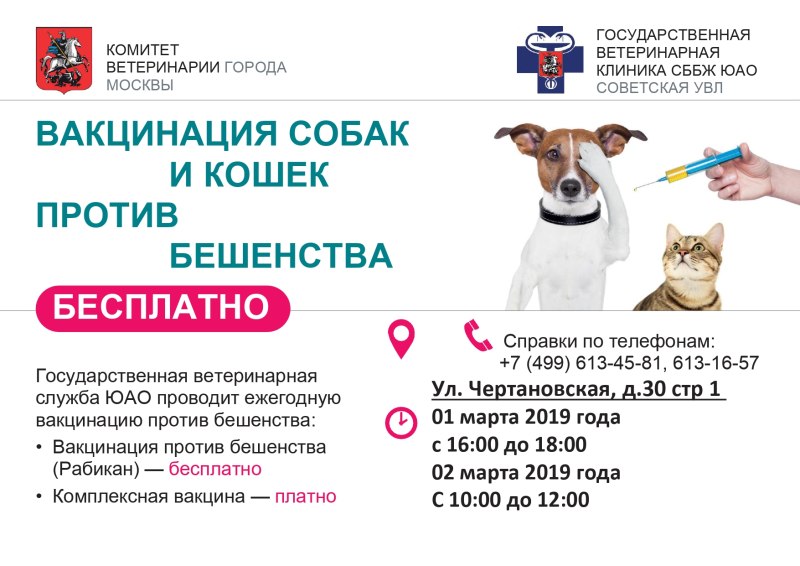 Вакцинация собак и кошек