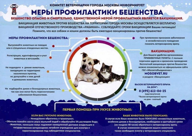 Профилактика бешенства памятка