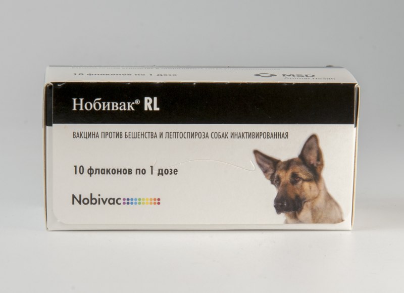 Прививка от бешенства собаке Nobivac
