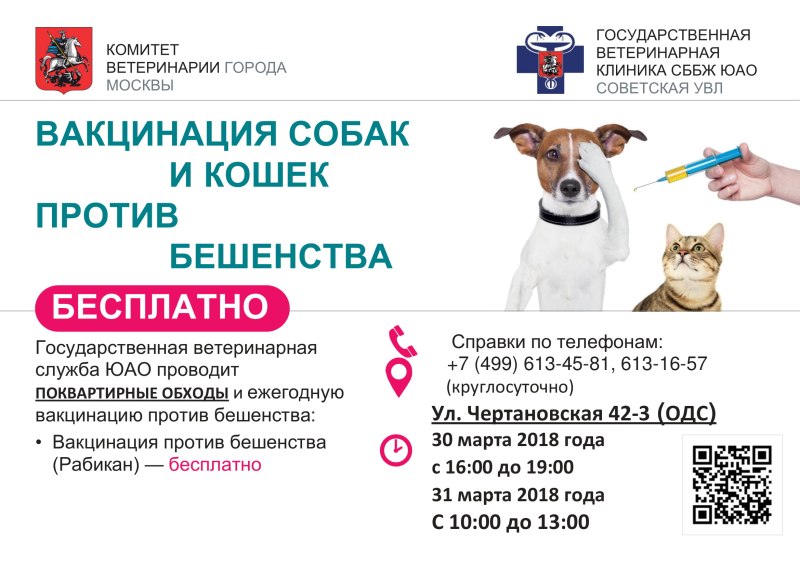 Какие вакцины для прививки от бешенства для собак