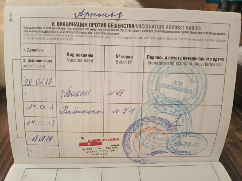 Ветеринарный паспорт вакцинация бешенство