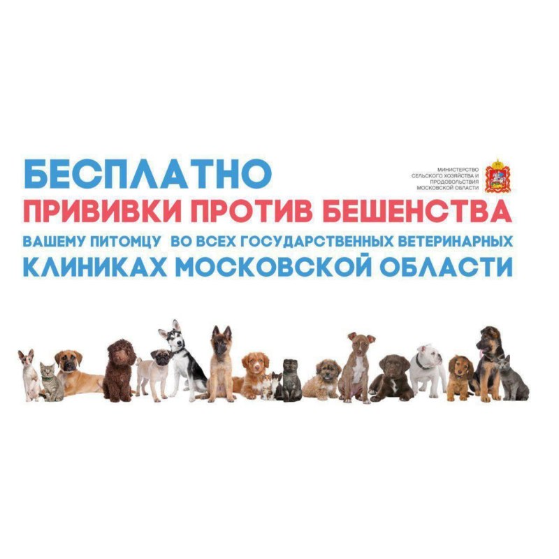 Бесплатная вакцинация животных от бешенства