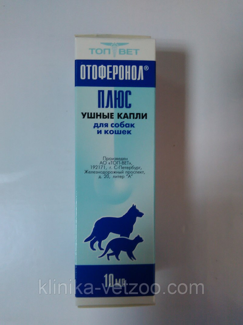 Отодектоз отит у собак