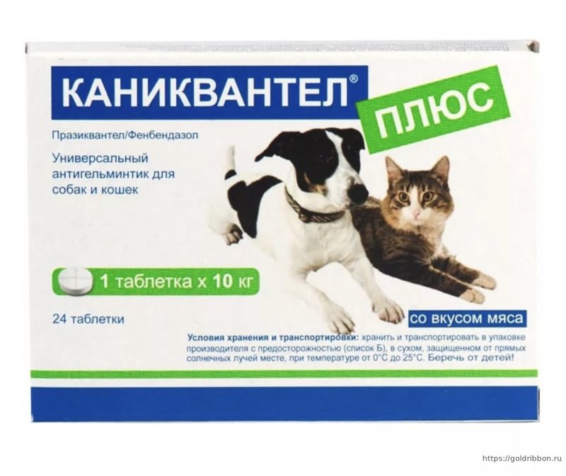 Таблетки от глистов для собак