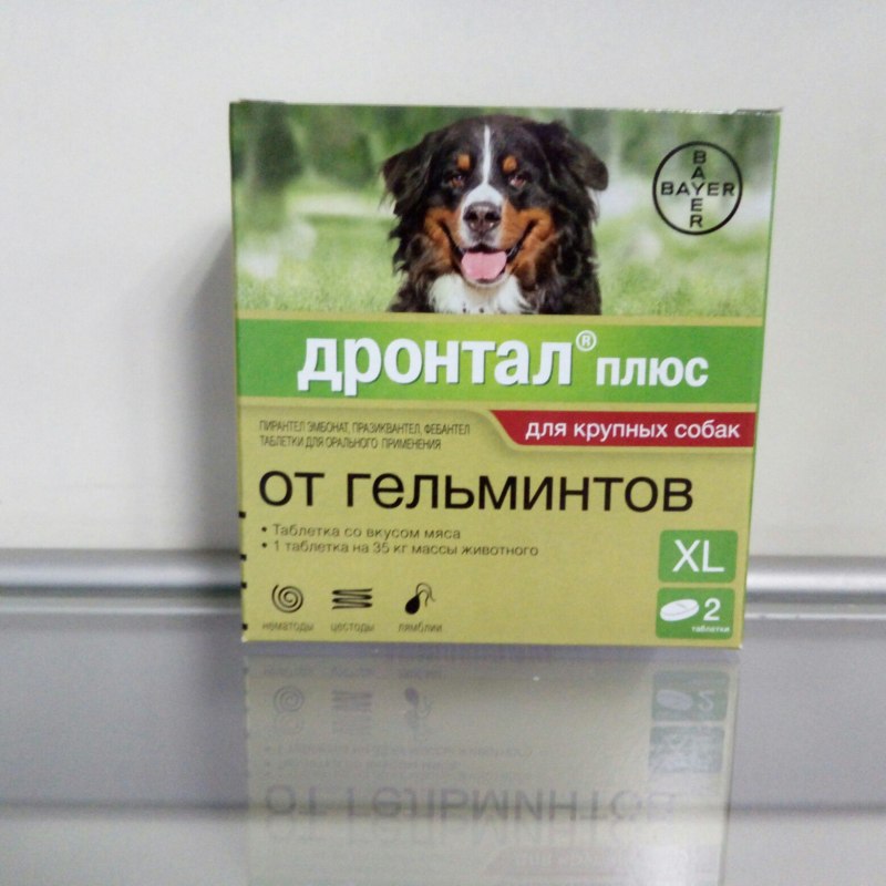 Антигельминтные таблетки Bayer Дронтал плюс для собак, 6 таблеток
