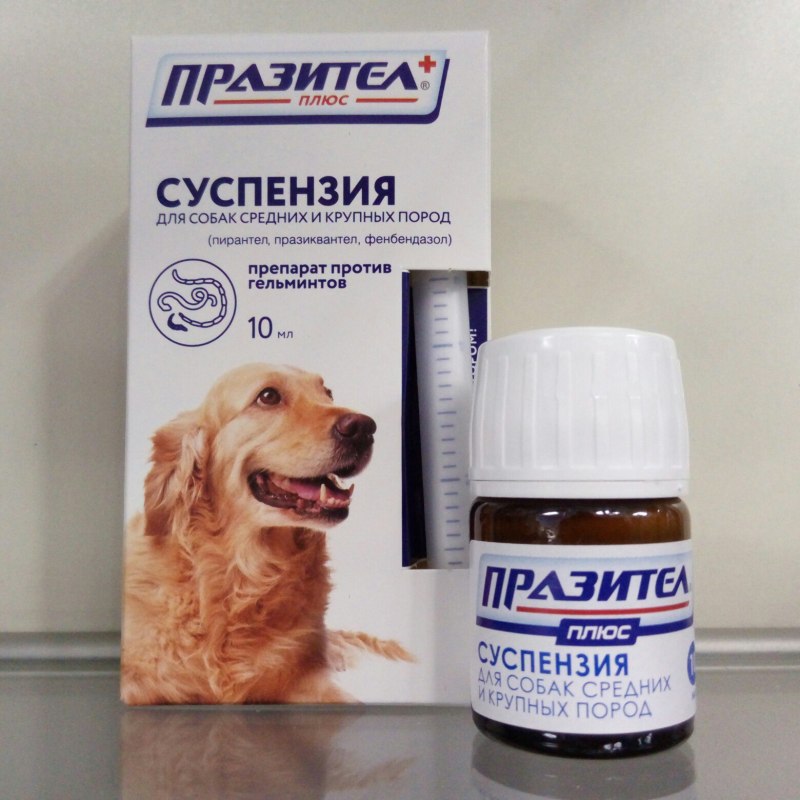 Препараты от глистов для собак азинокс плюс