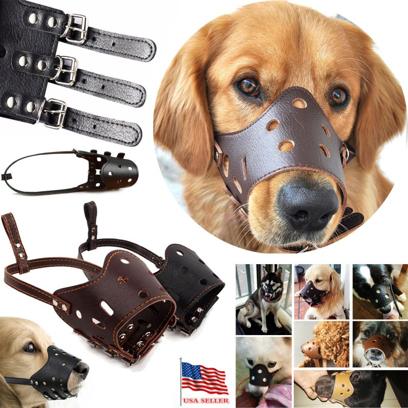 Ergonomics of a Muzzle for a Dog