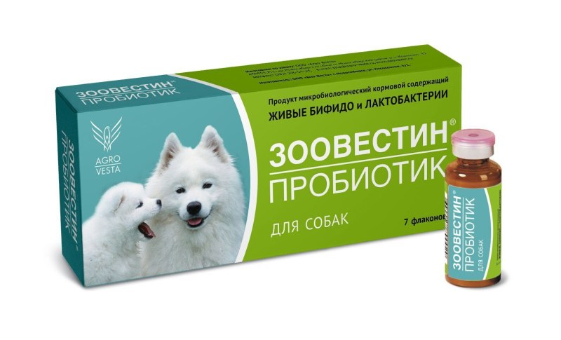Пребиотики для собак