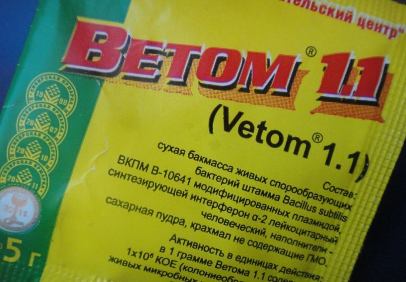 Бактерии для собак Ветом