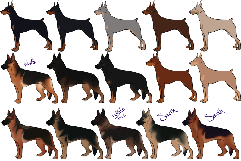 Доберман корги корги