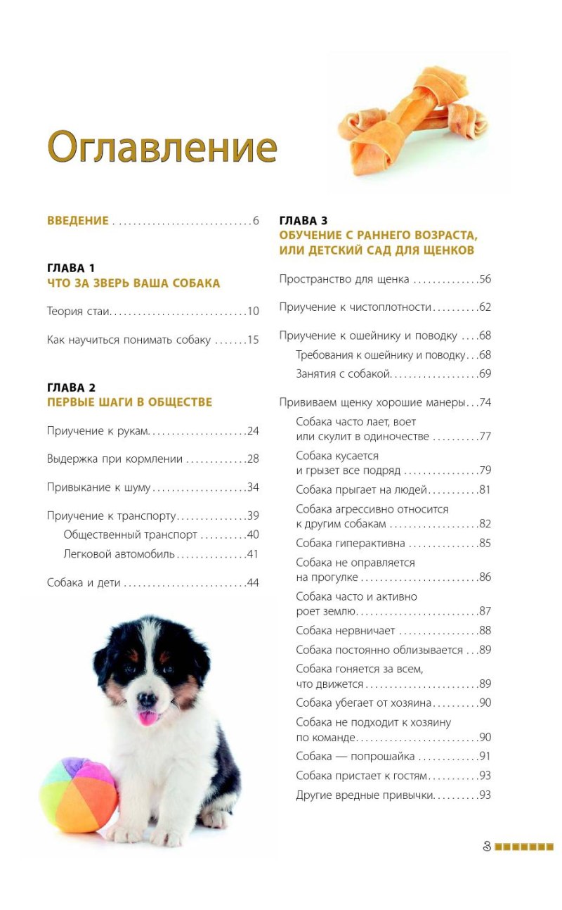 Андрей Шкляев дрессировка и воспитание собаки