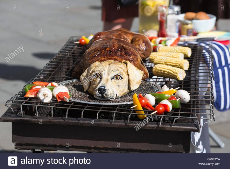 Собака и кофе