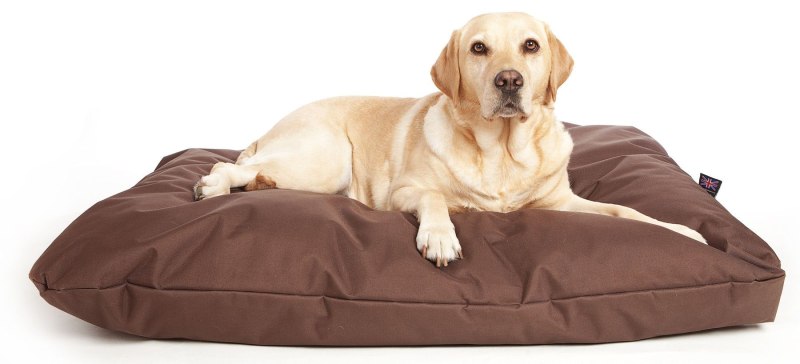 Лежак для собак Scruffs Expedition Box Bed XL 90х70х22 см