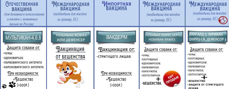 Прививки у собак график прививок по возрасту таблица