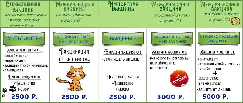 Укол в холку кошке